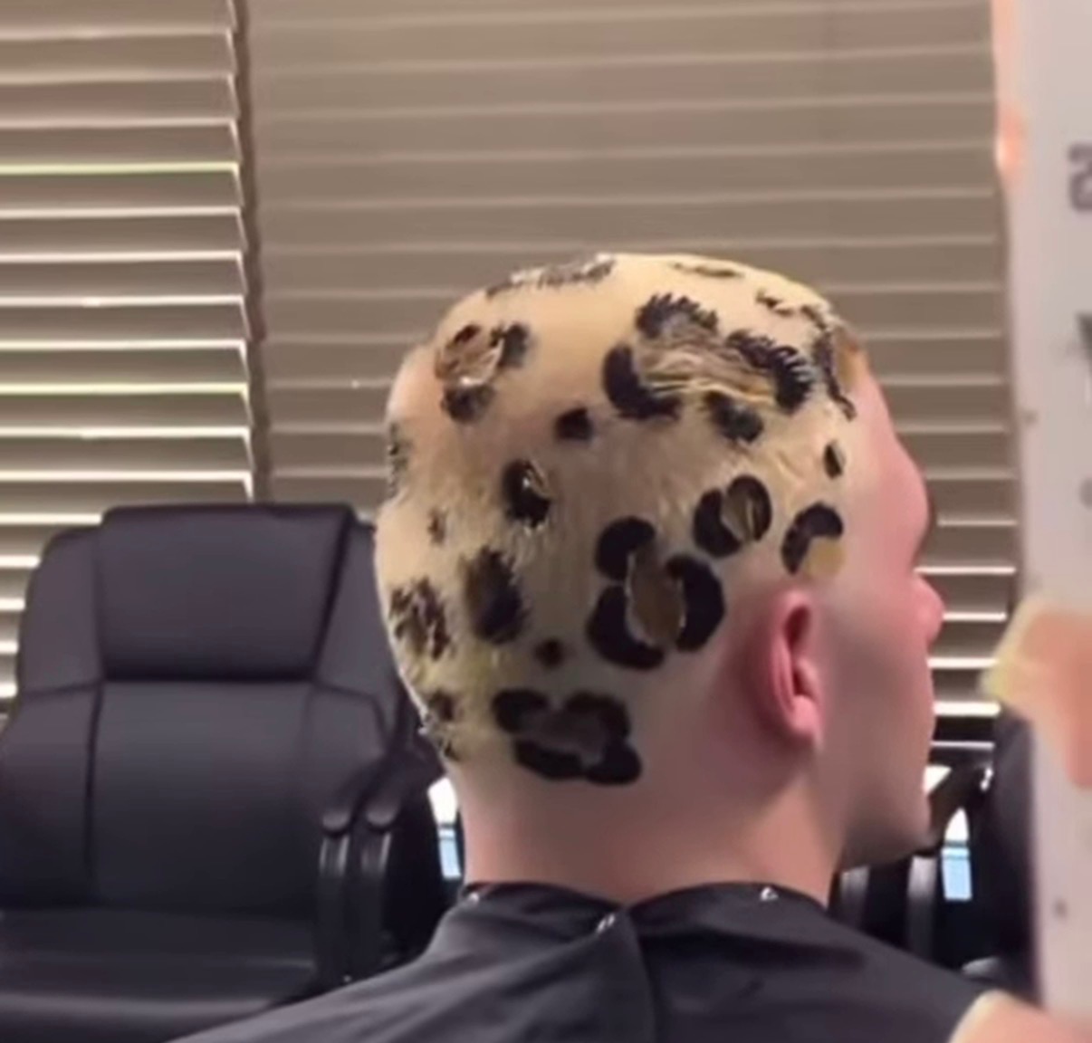 Leopard print color and pattern work